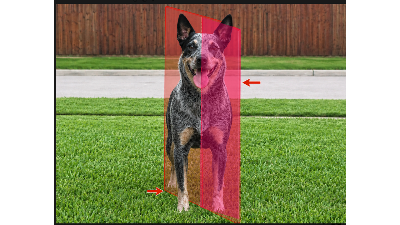 term image