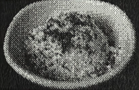 <p>jasmine rice</p>