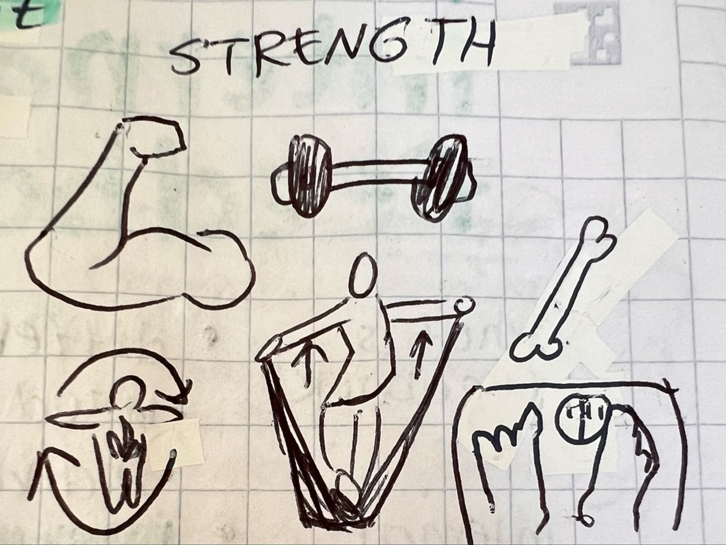 <p>strength training (weightlifting, calisthenics, resistance bands) and isometric contractions</p>
