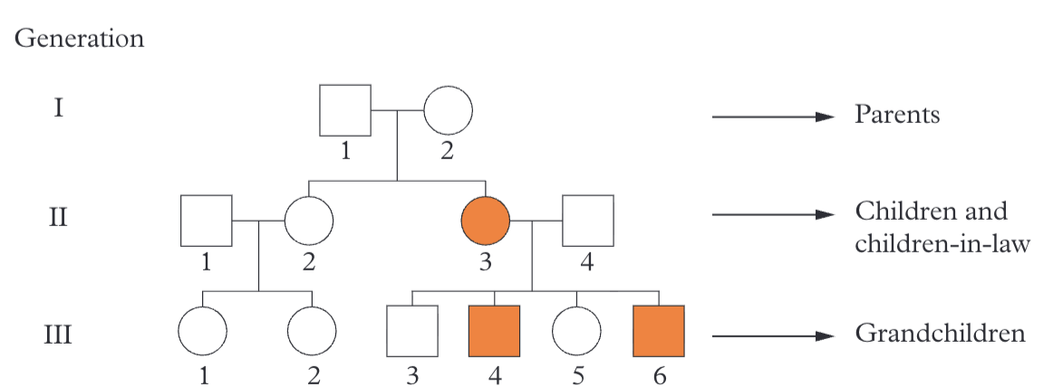 <ul><li><p><span>Roman numerals = generation number, left of each row</span></p></li><li><p><span>Numbers across = individual's position within that row</span></p></li><li><p><span>ID = generation-individual, e.g. II-4 (2nd generation, 4th individual)</span></p></li></ul><p></p>