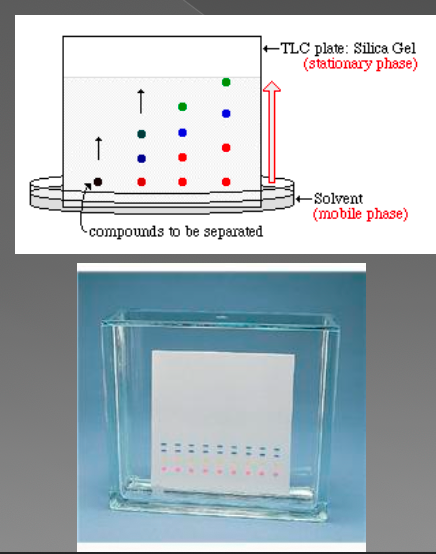 <p>Thin Layer Chromatography:</p>