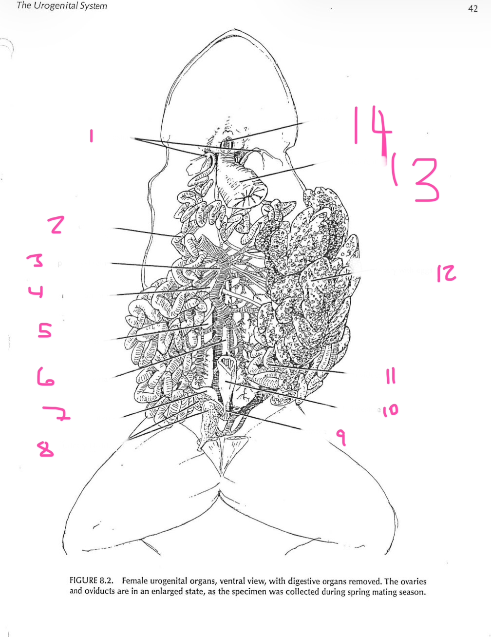 <p>4</p>