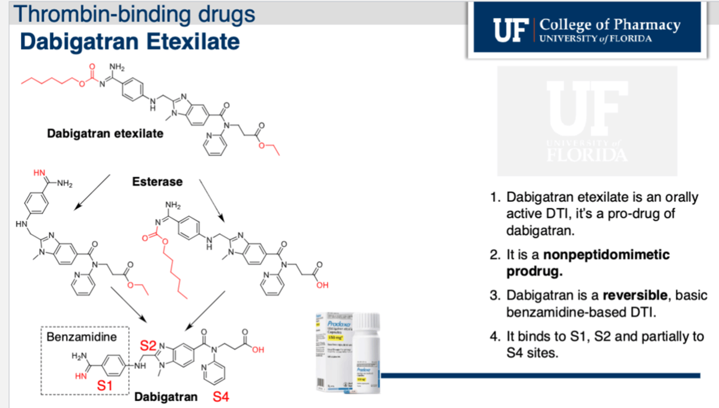 <p>• Nonpeptidomimetic that binds reversibly univalent to thrombin and is a prodrug (dabigatran is) </p><p>• It binds to S1, S2 and partially to S4 sites </p>