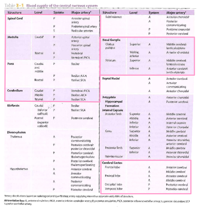 <p>*Know the ones in pink boxes* Spinal cord, medulla, pons, cerebellum, basal ganglia, cerebral cortex</p>