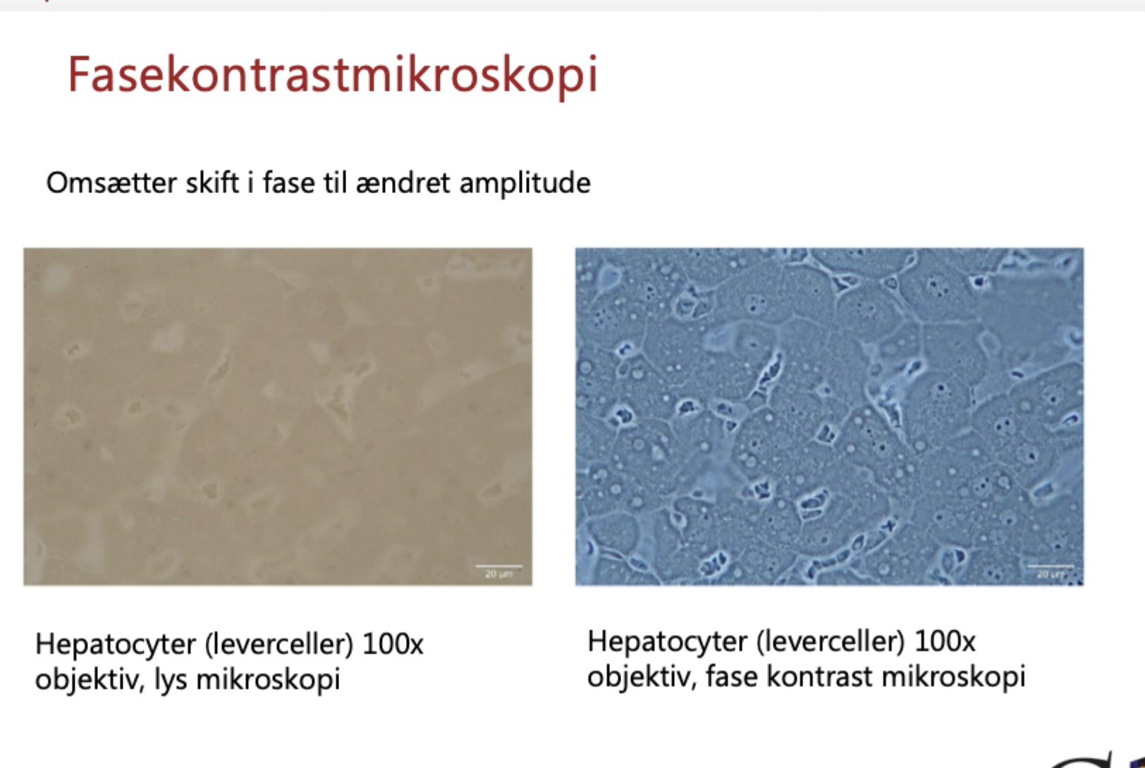 <p><span>For at kunne se ufarvede, levende celler. Det omsætter usynlige forskydninger i lysets "fase" (skabt når lyset bremses i forskellige celledele) til synlige ændringer i lysets "amplitude" (mørk/lys kontrast).</span></p>