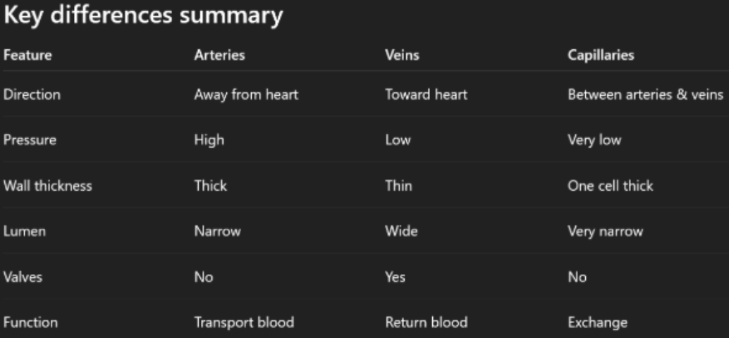 <p>It should be noted:</p><ul><li><p>The pressure is high in arteries as it needs to be pumped throughout the whole body.</p></li><li><p>Wall thickness is important in arteries as it needs to withstand all that pressure, whereas in veins its doesn’t face such pressure and in capillaries it needs to be thin to allow diffusion.</p></li><li><p>Lumen affects flow speed, so in arteries it’s narrow to maintain high pressure whereas in veins its wide in order to carry large volumes of blood, and very narrow in capillaries, however due to being arranged in a large cross-sectional area it slows blood down to giving it time for exchange.</p></li><li><p>The reason valves are present in veins is to prevent backflow.</p></li><li><p>And as for function, in capillaries especially its is used to exchange gases, nutrients and wastes</p></li></ul><p></p>
