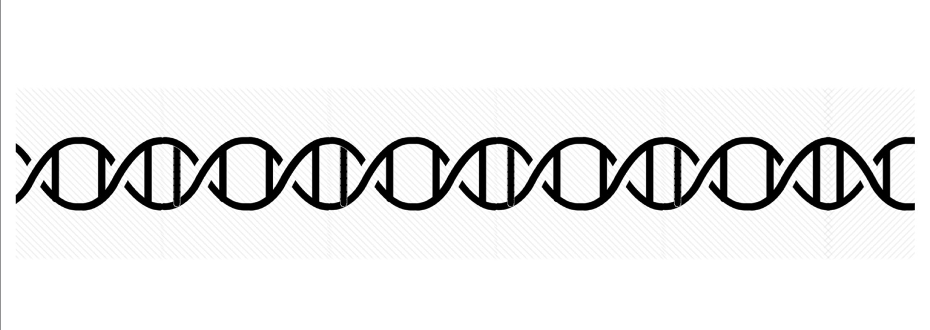 <p>DNA replication begins with?</p>