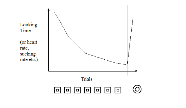 <p>Key Term: Habituation</p>