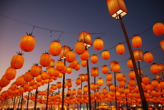 <p>(n): đèn lồng</p>
