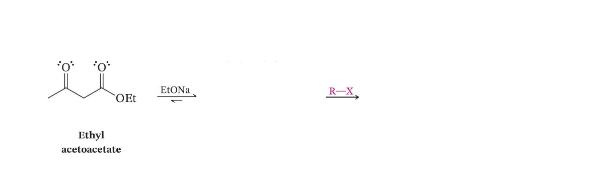 <p>β-Keto Ester Alkylation</p>