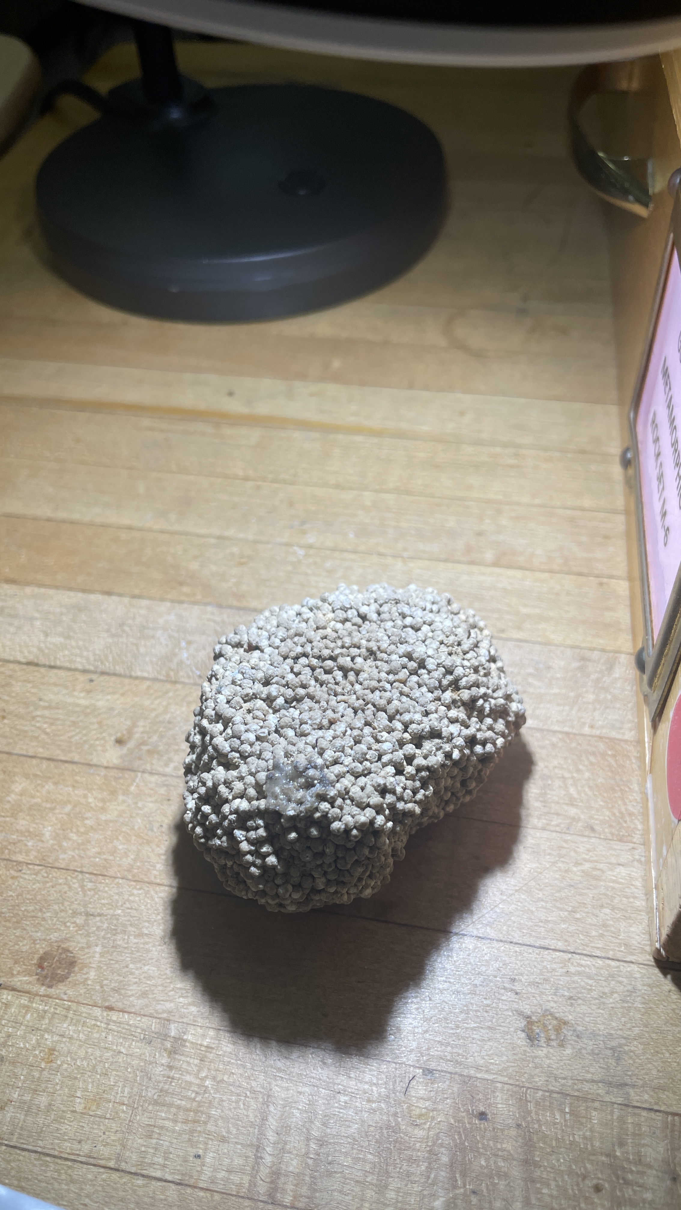 <p>Oolitic Limestone</p>