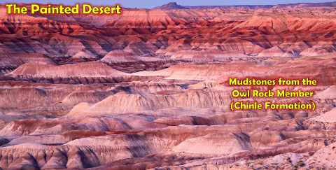 <p><span>The dominant geomorphic feature in the </span><strong>Painted Desert</strong><span> (figure above), an arid terrain that has been extensively eroded by wind and water, are ...</span></p>