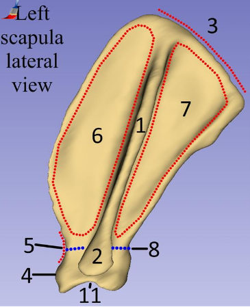 <p>What is 7?</p>