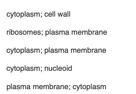 <p><span>In prokaryotes that carry out aerobic respiration, the ________ serves the same purpose as the inner mitochondrial membrane and the ________ serves the same purpose as the mitochondrial matrix.</span></p>