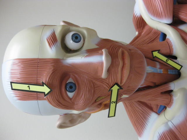 <p>What is at #2?</p>