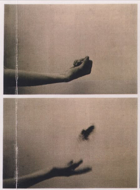 <p>Release (verb)</p>