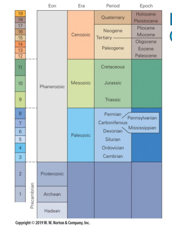 <ul><li><p>Eons</p><ul><li><p>eras</p><ul><li><p>periods</p><ul><li><p>epochs</p></li></ul></li></ul></li></ul></li><li><p>each division is smaller and smaller </p></li><li><p>more recent we have more rocks to create more categories </p></li></ul><p></p>