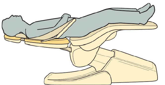 <ul><li><p><strong>Body: </strong>Feet slightly higher than nose</p></li><li><p><strong>Chair/ back</strong>: Chair parallel to floor</p></li><li><p><strong>Head & Headrest: </strong>Head align with headrest in chin up position</p></li></ul><p></p>