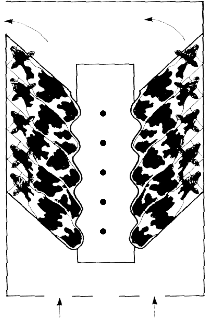 <p><strong>1 of the 7 Milking Parlour Designs Discussed:</strong></p><ul><li><p><u>Definition</u>: Cows are at a 45˚ angle, cows milked through their back legs; most common in the UK</p></li><li><p><u>Advantages</u>:</p><ul><li><p>Less walking for milker </p></li><li><p>Can be massive (20-30 cow long); but typically just designed for 1 milker (10-15 cows) </p></li></ul></li><li><p><u>Disadvantages</u>:</p><ul><li><p>R</p></li></ul></li><li><p>Variations:</p></li><li><p>Swing over parlor</p></li><li><p>Trigon - 3 sided herringbone</p></li><li><p>Polygon parlour</p></li></ul><p></p>