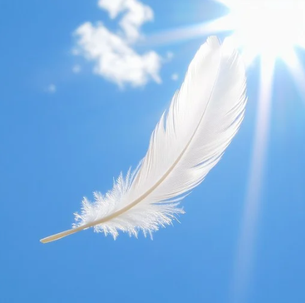 <p>가볍다 (weight)</p>