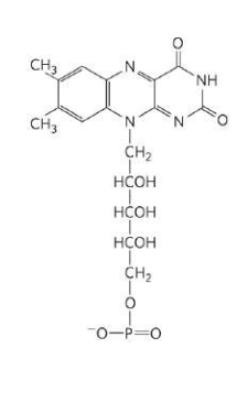 <p>What is this molecule?</p>