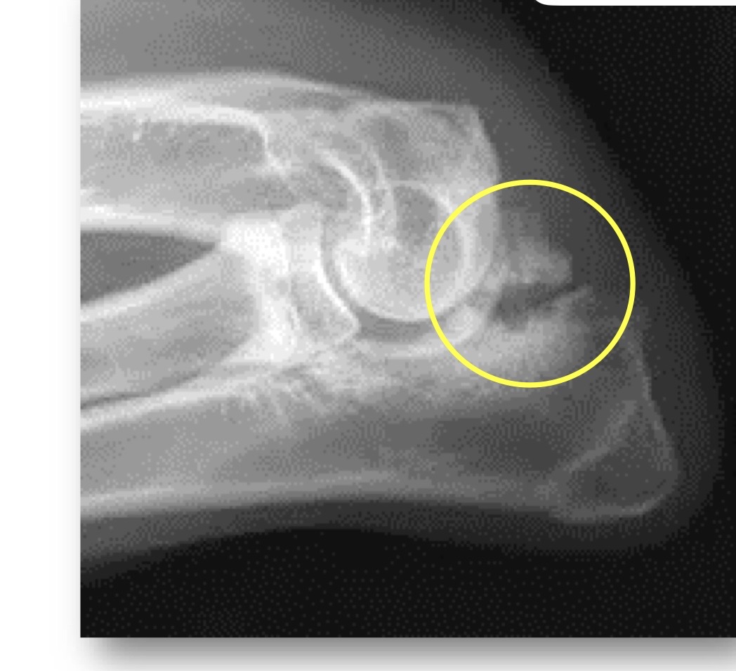 <p>what is this showing?</p>
