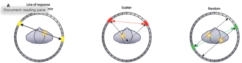 <ul><li><p>True Coincidences</p></li><li><p>Scatter Coincidences</p></li><li><p>Random Coincidences</p></li></ul><p></p>
