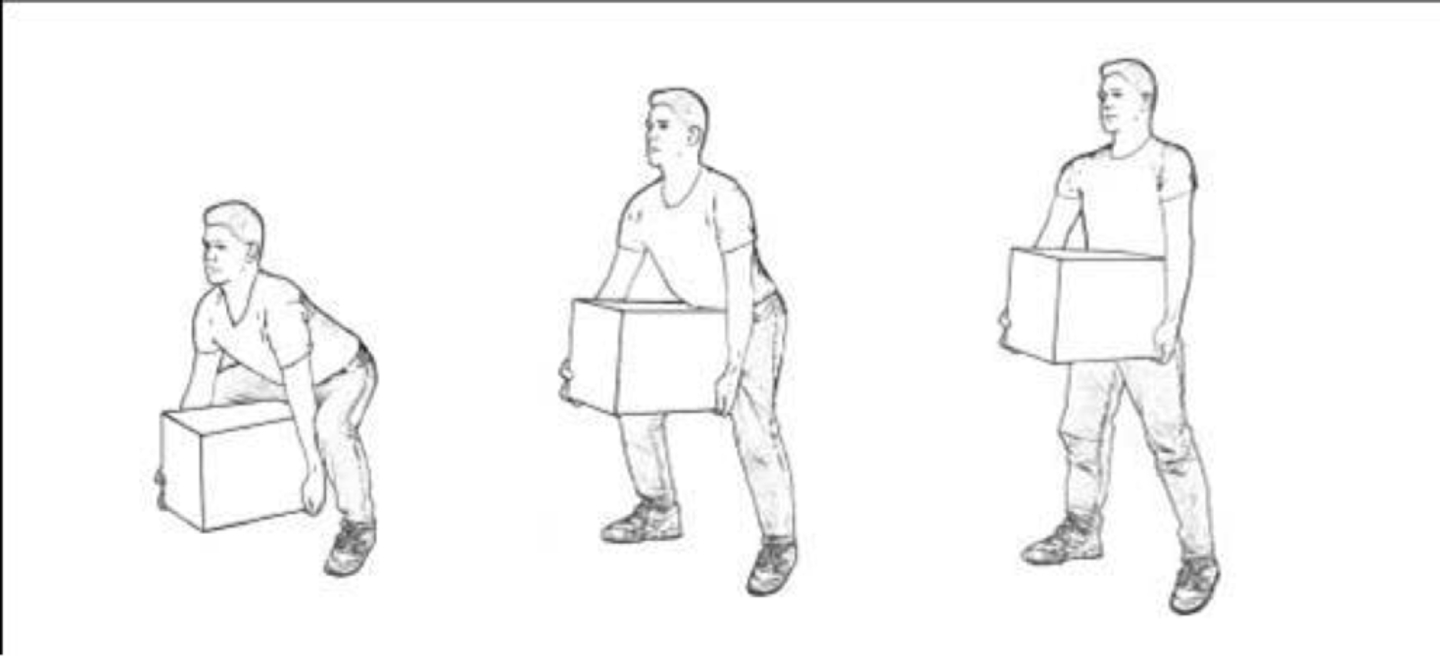 <p>lifting technique in which the emts back us held upright with the legs bent and the patients is lifted when the emt straightens the legs and raises the upper body and arms</p>