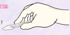 <p>Cuchillo de mesa</p>