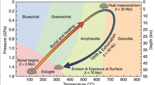 <p>What is the term/concepts being visualized in this image?</p><p>Definition: The full term for P-T-t paths tracking a rock's metamorphic journey over geological time.</p>
