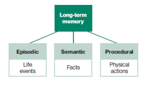 <p>Episodic memory is memory for events (like what you did last weekend).</p><p>Semantic memory is memory for facts (such as the capitals of the states)</p><p>Procedural memory is memory for physical actions, muscle memory </p>