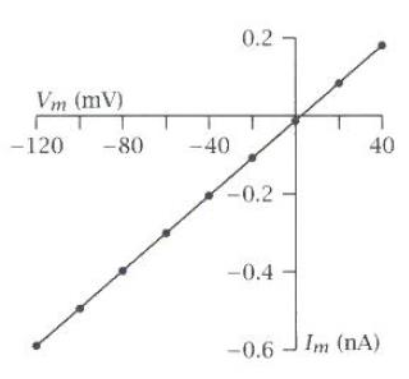 <ul><li><p>Reversal potential = 0 mV</p><ul><li><p>Monovalent cation selectivity (K+ and Na+)</p></li></ul></li><li><p>Slope = 8 pS</p></li></ul><p></p>