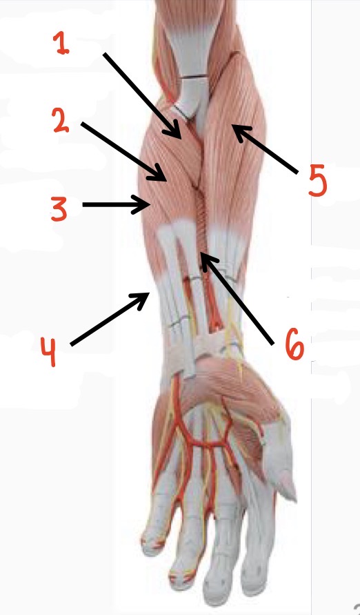 <p>2</p>