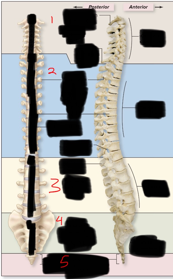 <p>3</p>