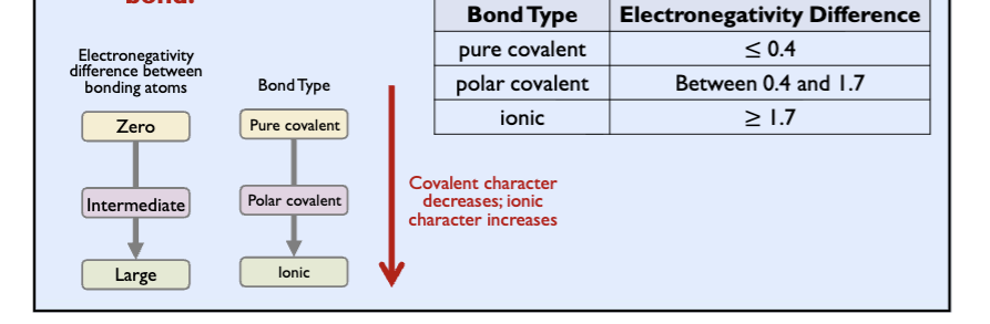 <p>degree of polarity  in a chemical bond depends on the electronegativity diff between two bonding atoms</p><p>greater the electronegativity difference, more polar the bond </p>