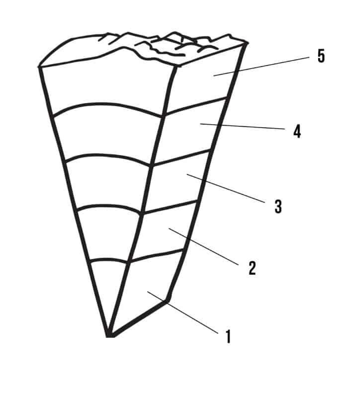 <p>label this</p>