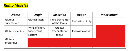 <p>Q: The origin of the Gluteus profundus is the Body of ……
A. sacrum
B. ischium
C. ilium
D. pubis</p>