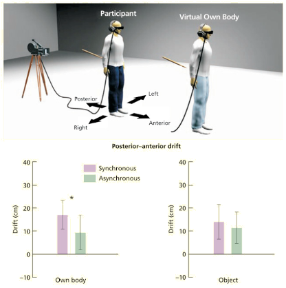 <p>Synchronous stroking of real and virtual body shifts perceived self-location while asynchronous or object conditions do not</p>
