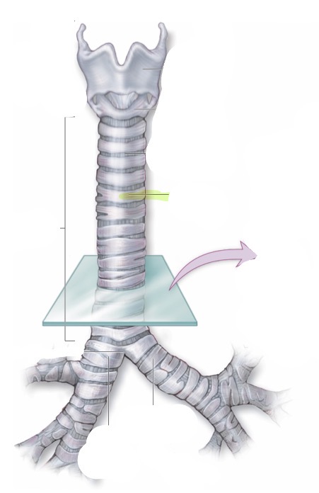 <p>what is this </p>