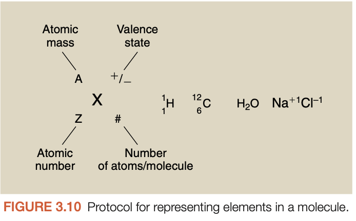 <p>Using the element symbol <strong>X</strong>:</p><p><strong>ᴬZX</strong></p><p>where:</p><ul><li><p><strong>X</strong> = chemical symbol</p></li><li><p><strong>A</strong> = atomic mass number</p></li><li><p><strong>Z</strong> = atomic number</p></li></ul><p>Example:</p><p><strong>¹²₆C</strong></p><p>Carbon-12 therefore has:</p><ul><li><p>6 protons</p></li><li><p>6 neutrons</p></li><li><p>6 electrons if neutral</p></li></ul><p></p>