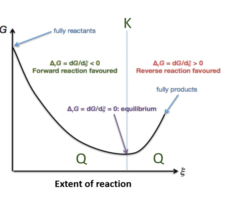 <p>can determie direction of reaction</p><ul><li><p>Q < K favours forward reaction, towards products</p></li></ul><ul><li><p>Q > K favours reserves reaction, towards reactants</p></li></ul><p></p>