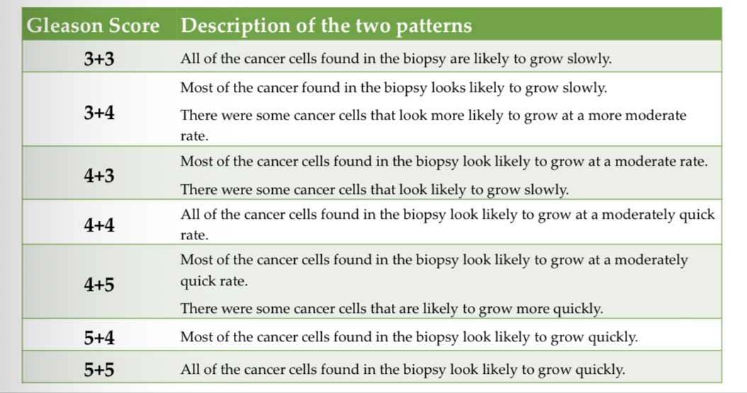 <p>Gleason scoring</p>
