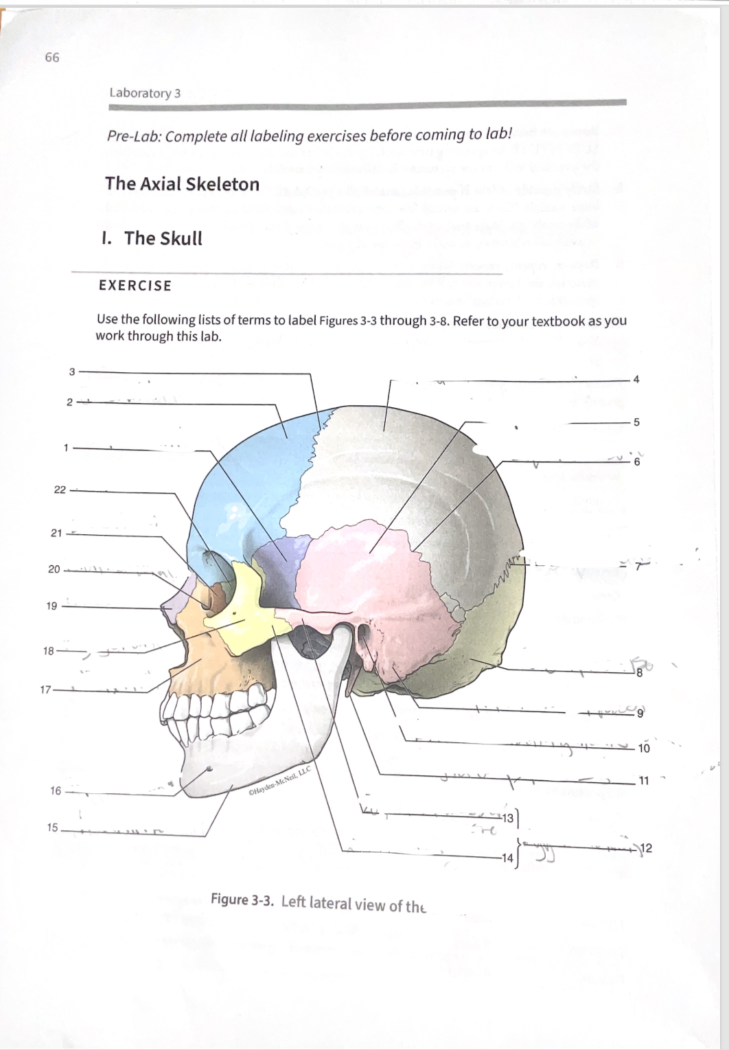 <p>14</p>