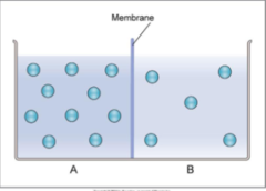 <p>When two solutions are separated by a membrane permeable to the solute, the solute will _____ across the membrane</p>