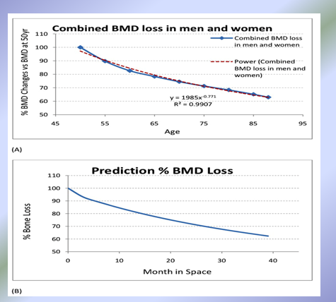 <p>Wolff’s Law: Bones remodel/grow in response to stresses placed on them</p><ol><li><p>Bone attachment sites for active skeletal muscles appear thicker = projections such as trochanters, spines, etc. </p></li><li><p>Bones of the upper limb often used are thicker than the less used limbs = bones in right arm of a right-handed person are thicker than bones in the left arm and vice versa </p></li><li><p>Long bones are thickest in the middle region of  the diaphysis where bending stresses are greatest</p></li><li><p>Bedridden individual not subjected to stresses of walking or exercise lose bone density</p></li><li><p>Astronauts who spend long amount of time in space (no gravity and no walking) lose bone density</p></li></ol><p></p>