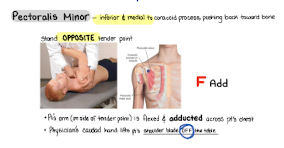 <p>F Add</p>