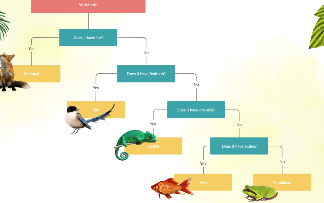<p>A way of identifying organisms based on a series of binary questions </p><ul><li><p>They offer a standardized, repeatable method to identify similar-looking specimens without relying on guesswork.</p></li></ul><p></p>