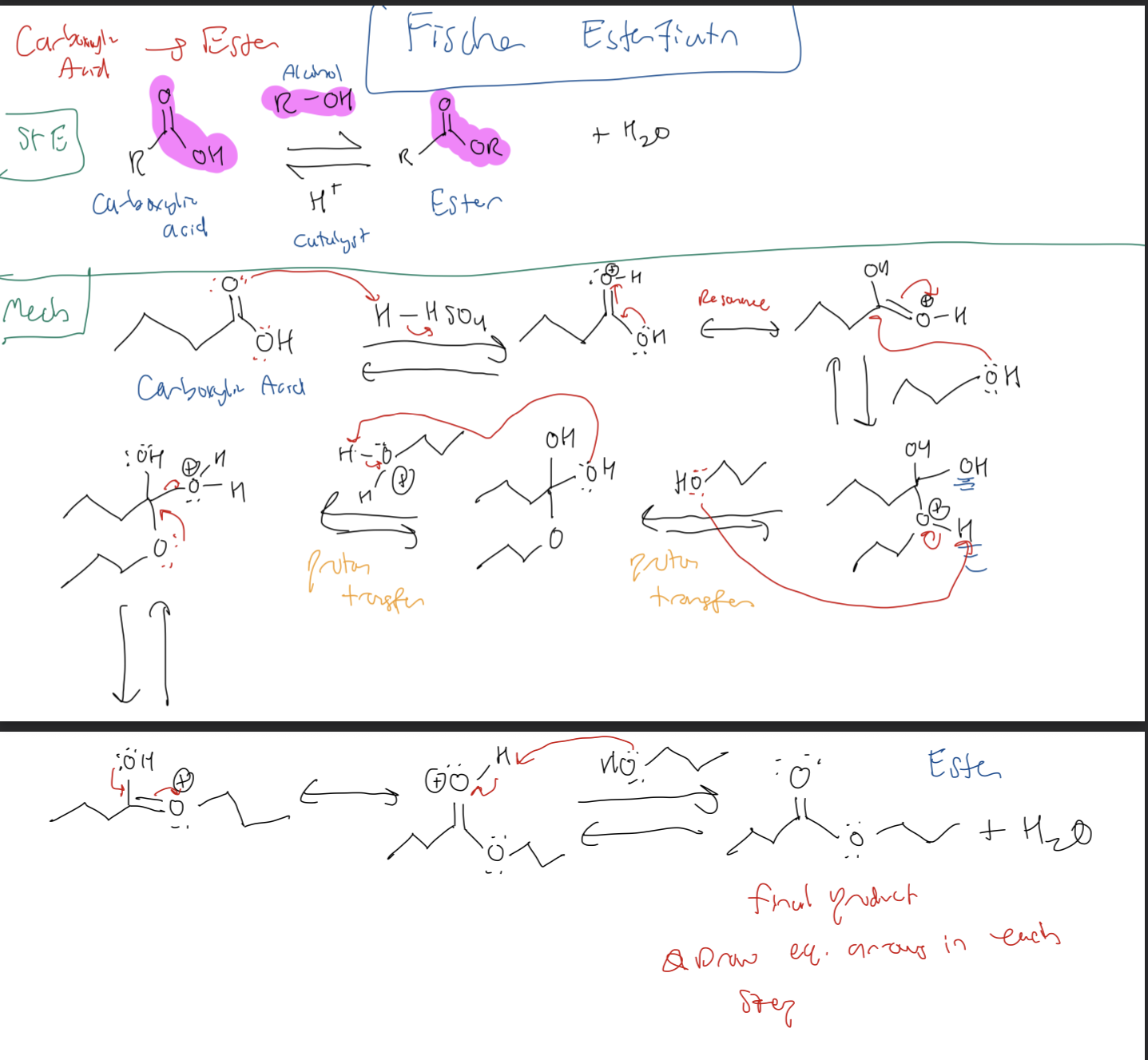 <p><strong>Fischer Esterification</strong></p><p><strong>Carboxylic Acid → Ester</strong></p><p></p><p><strong>1) H2SO4 donates protone to CARBONYL </strong></p><p><strong>2) Form RESONANCE and Protonated Carboxylic Acid</strong></p><p><strong>3) Remove H from Ester O</strong></p><p><strong>4) Add H to OH to form good L.G</strong></p><p><strong>5) H2O leaves as Good L.G</strong></p><p><strong>6) Resonance to form Carbonyl with OH</strong></p><p><strong>7) Deprotonate H in OH</strong></p><p><strong>8) Form Ester Final Product with H2O</strong></p>