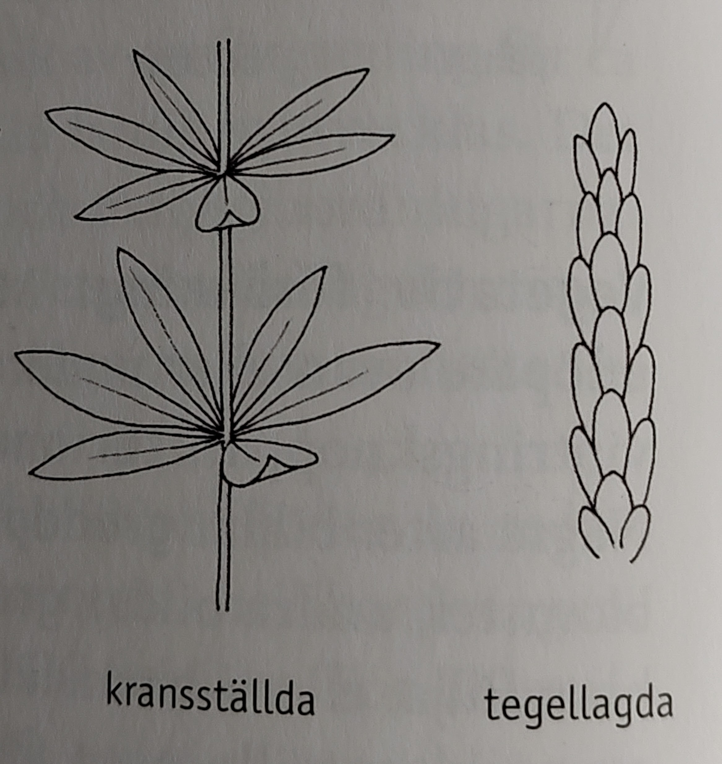 <p></p>