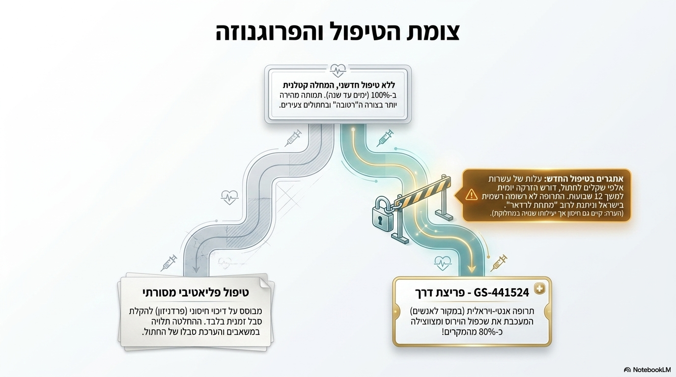 <ul><li><p><strong>פרוגנוזה ללא טיפול</strong>: אין טיפול מקובל מאושר; ללא טיפול ממוקד כל החתולים מתים בטווח של בין ימים לשנה מהאבחון (התמותה מהירה יותר בגורים ובצורה הרטובה, ומושפעת גם מגנטיקה/גזע ומצב ההגעה).</p></li><li><p><strong>טיפול לדיכוי חיסוני ותמיכה</strong>: טיפולים תומכים (בהתאם לסבל החיה ומשאבי הבעלים) וטיפול לדיכוי חיסוני באמצעות פרדניזון או חומרים דומים שנוסו בבני אדם.</p></li><li><p><strong>טיפול אנטי-ויראלי פורץ דרך</strong>: התרכובת <strong>ג'י.אס-441524</strong> המעכבת את השתכפלות הווירוס (בעלת אישור FDA לאנשים), מצילה כ-<strong>80% מהמקרים</strong>.</p></li><li><p><strong>עלות וזמינות</strong>: הטיפול יקר מאוד ועולה אלפי דולרים לחתול (מצריך הזרקה יומית למשך 12 שבועות). התרופה אינה נמצאת באופן מוסדר בישראל, ניתנת רק "מתחת לרדאר" ועלותה בארץ מגיעה לעשרות אלפי שקלים.</p></li></ul><p></p>